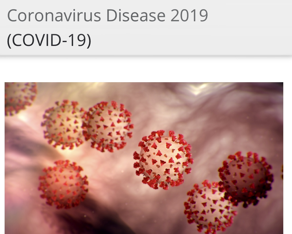 Decipher COVID-19 Coronavirus by Natalie Keshing 341 Views