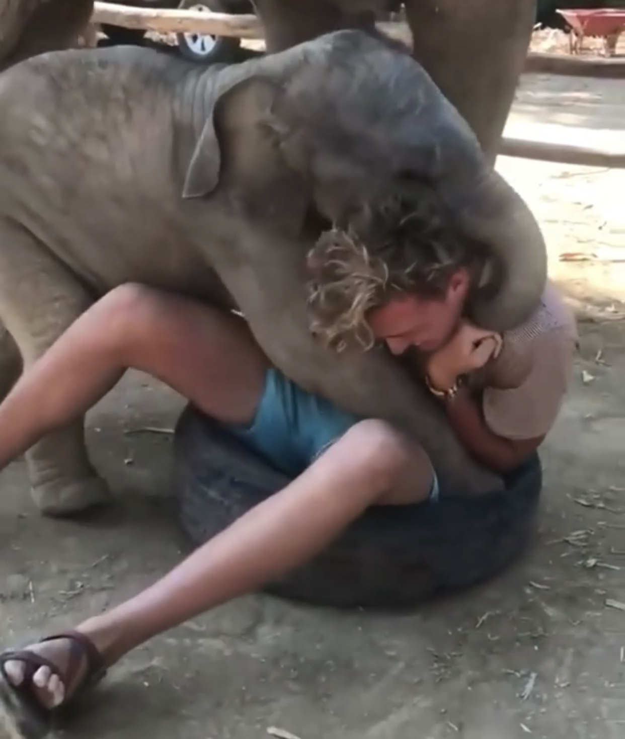 A Baby Elephant Having More Fun With His Human Pet