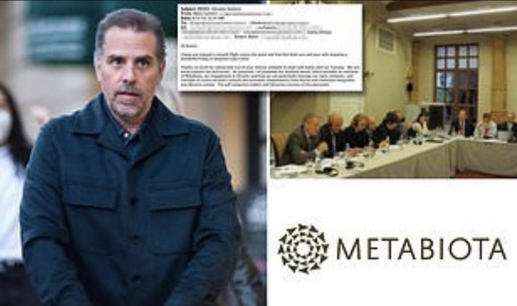 🚨🚨🚨 Hunter Helped Secure Millions Funding US Contractor in Ukraine Metabiota 40 Bioweapon Labs