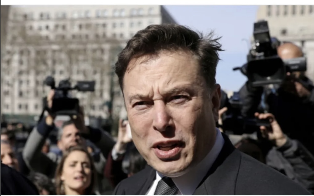 🚨🚨🚨 Twitter Board Not Representing Shareholders: Elon Musk